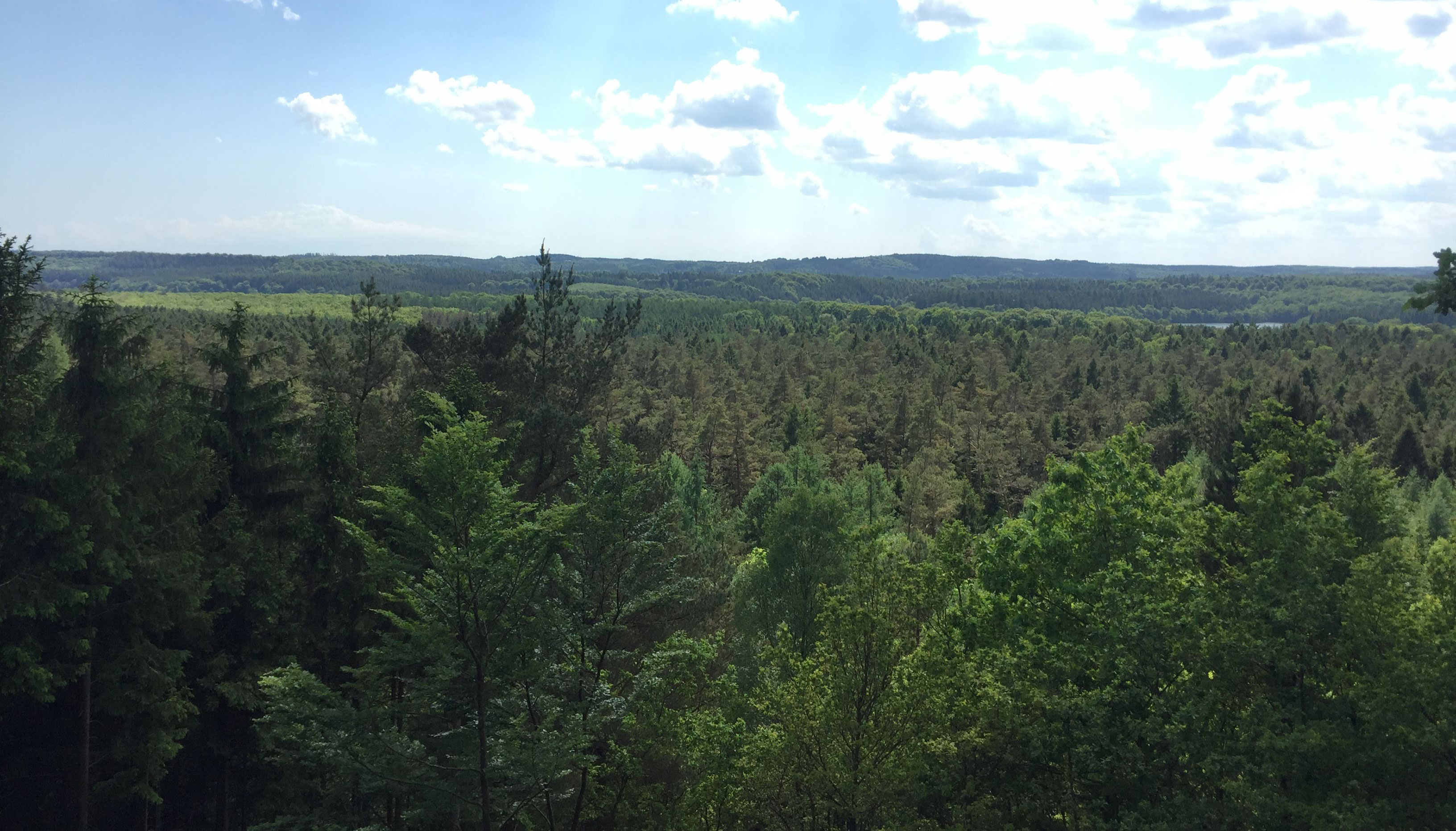 slide-bg-1